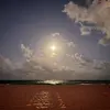 raemullins22