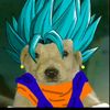 soy_benny24