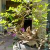 totok_58