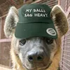 dumb_hyena