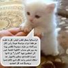 jwina4