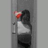isabelvas23