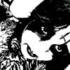 x_punk1sn0tde4d_x