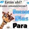 diios03