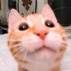 lucasnlm