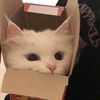 qwubit