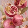 omhassan735