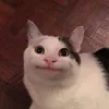 arthur_rus1