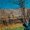 khan001182_