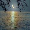 mohmmad_ii