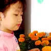phungnghi2402