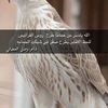 albahaer1