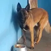 cgahhgshhhh
