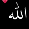 قران الكريم 🕋 🕋 🕋 🕋 🕋 🌴