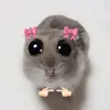 jesielyca