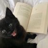 book universe