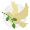 Stichting Amal fi Dunya🕊️