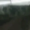 totonek8
