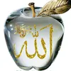 talah0555