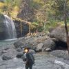 awanseptif