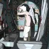 nini_is_real