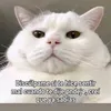 efeenelchat_3905