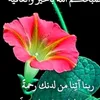 user7411244260060