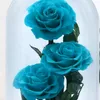 miral_drz