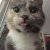 jskdbbejwkdnjrj