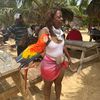 butterfly_tyty