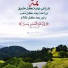 dodo_9110