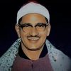كل ما هو منشاوي 💡