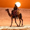 احمد