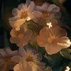 bnon_235