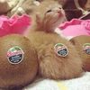mandys..gf
