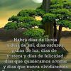martintobar825