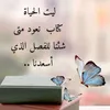 soso431022