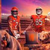bearsfan164