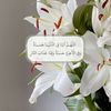 tamy.1190