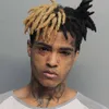 ocn_freezy