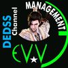 dedss.channel