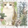 mi_catlove
