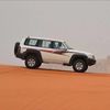 faisal__2010