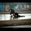 mustafawit80