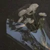 nh.k.y1