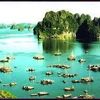 hoatranhoang_
