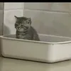 user_nomem.1