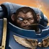 1monkeydad