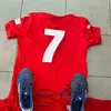 wallo_z6