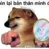 dungyeutiktok100